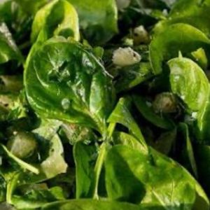 Spinach Greens